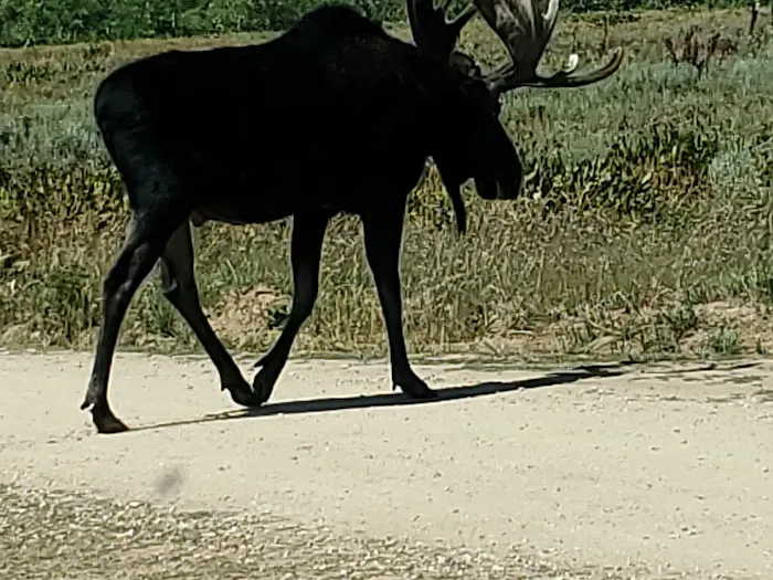 Sourdough Wilderness Ranch Picture 1