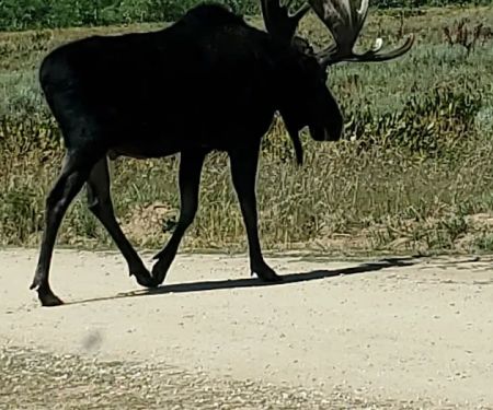 Sourdough Wilderness Ranch