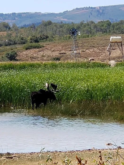 Sourdough Wilderness Ranch Picture 5