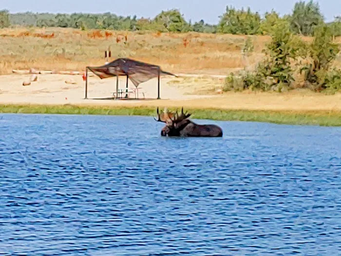 Sourdough Wilderness Ranch Picture 4