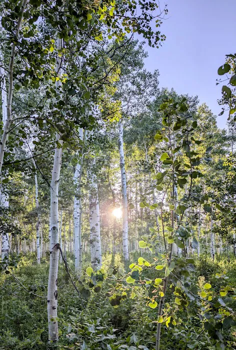 Sourdough Wilderness Ranch Picture 7