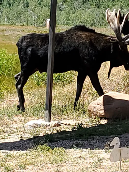 Sourdough Wilderness Ranch Picture 10