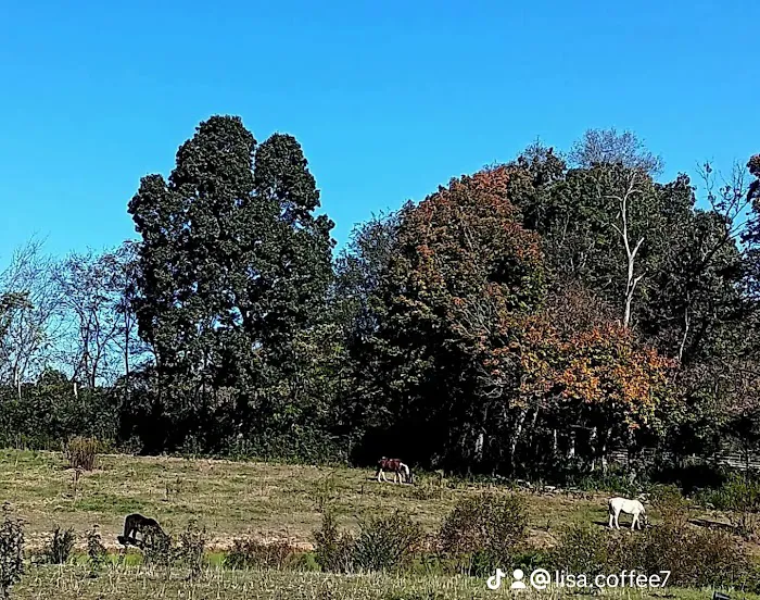 Stock RV Park Picture 4