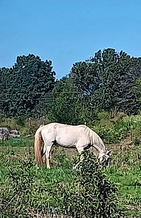 Stock RV Park Picture 6