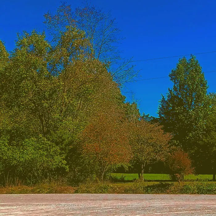 Stock RV Park Picture 8