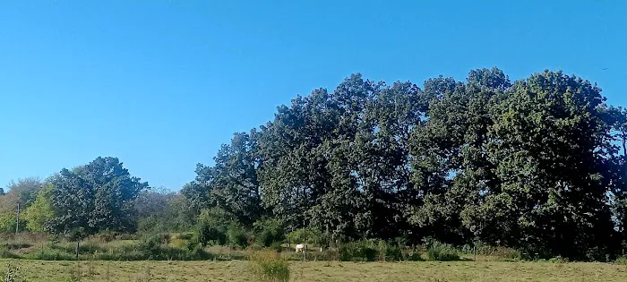 Stock RV Park Picture 10