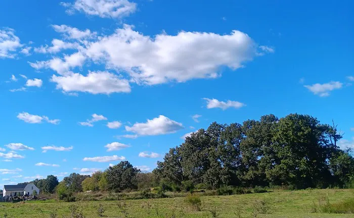 Stock RV Park Picture 9