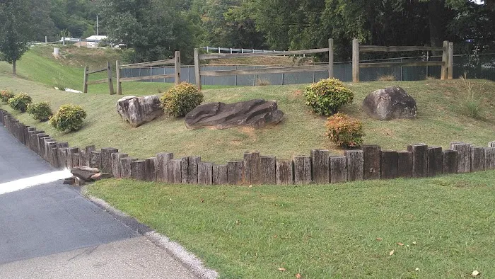 Tall Pines Estates Community Picture 9