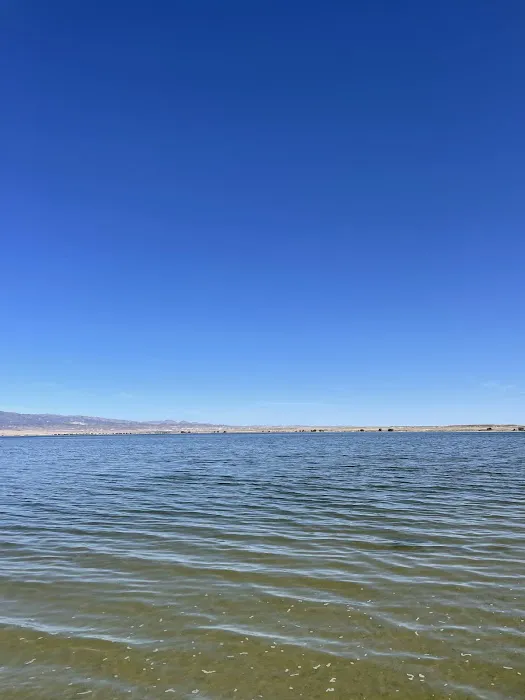 Freier Beach Campsite Picture 1