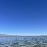 Freier Beach Campsite