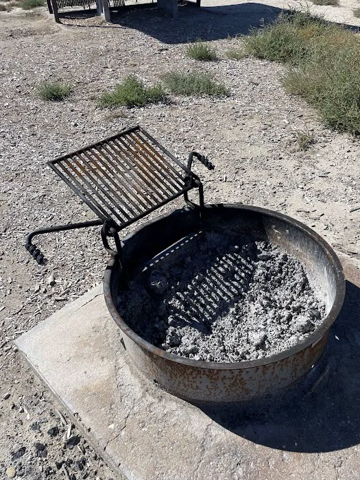 Freier Beach Campsite Picture 5