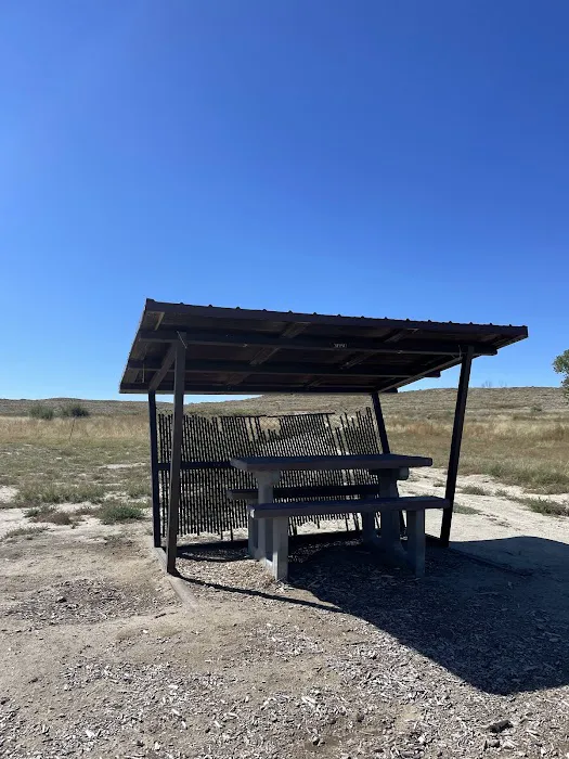 Freier Beach Campsite Picture 4