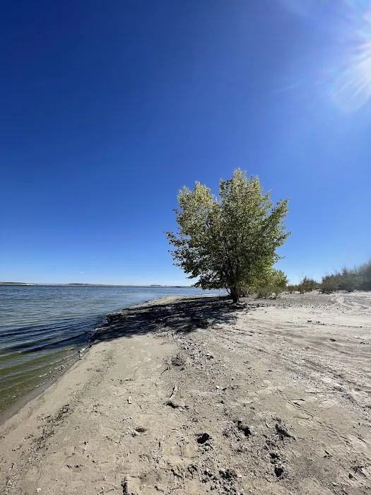 Freier Beach Campsite Picture 2
