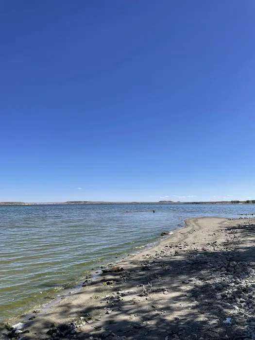 Freier Beach Campsite Picture 3
