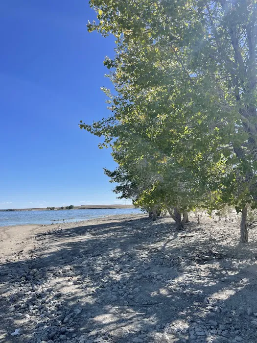 Freier Beach Campsite Picture 6