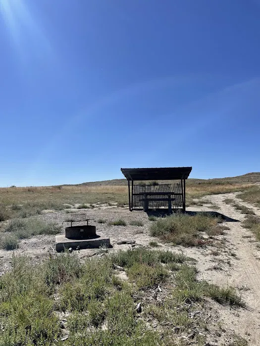 Freier Beach Campsite Picture 7