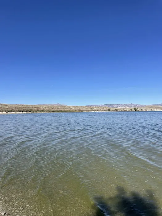 Freier Beach Campsite Picture 9