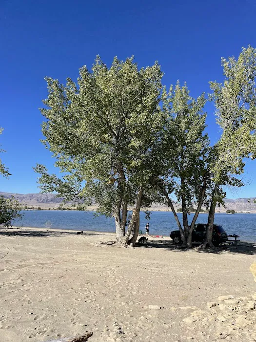 Cottonwood Campground Picture 5