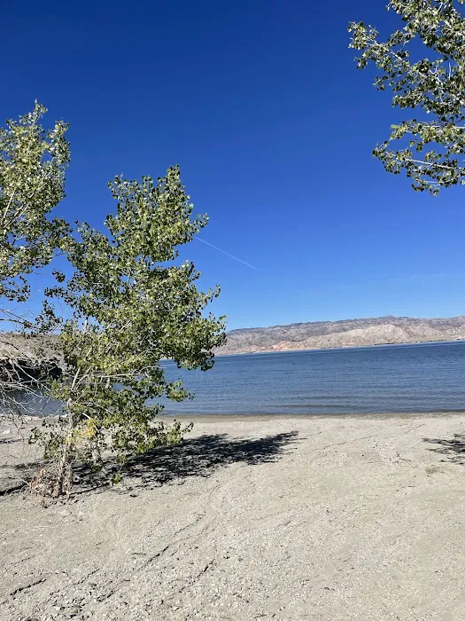 Trout Bay Picture 10