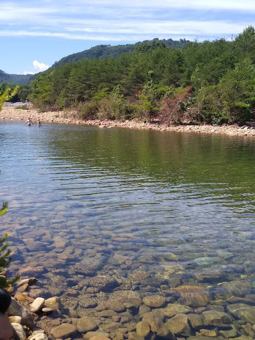 Riggs Trailer Park Picture 1