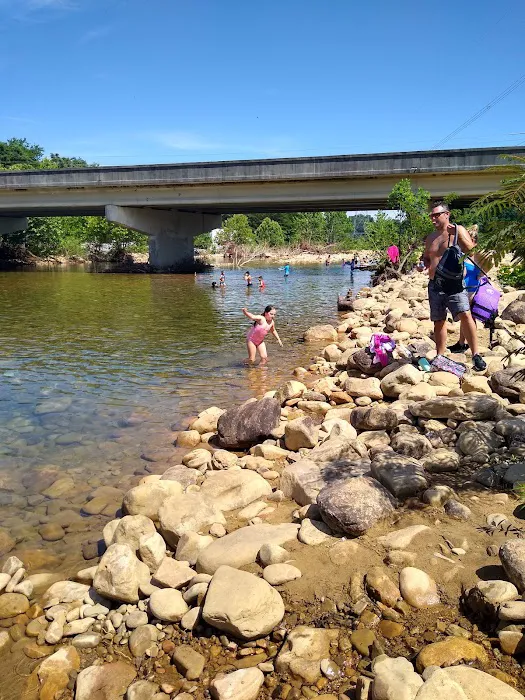 Riggs Trailer Park Picture 5