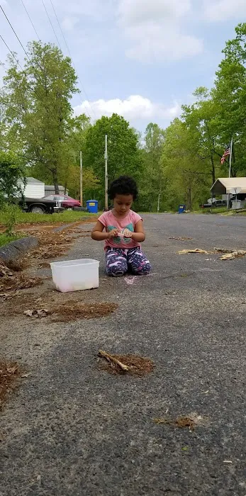 Sherwood Forest Mobile Home Picture 6