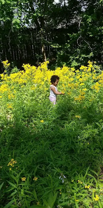 Sherwood Forest Mobile Home Picture 9