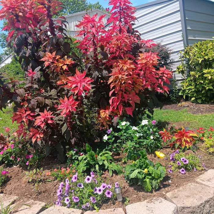 Green Acres Mobile Home Park Picture 10