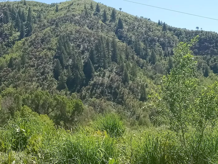 Weber Memorial Park Picture 10