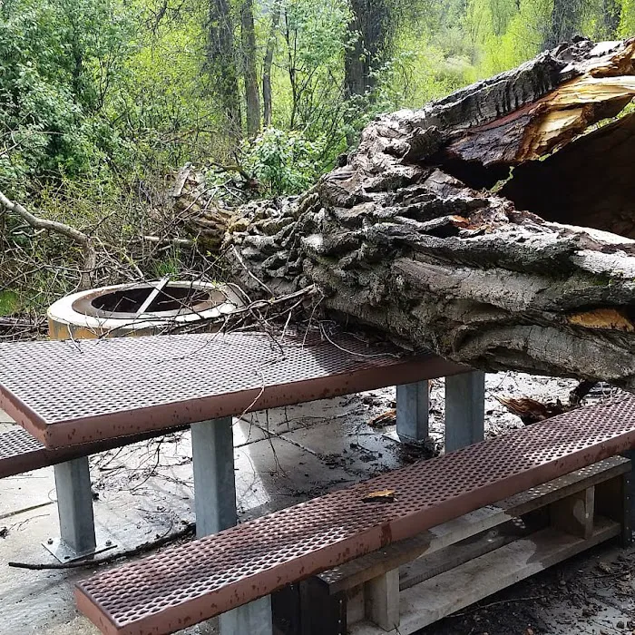 Willows Campground Picture 9