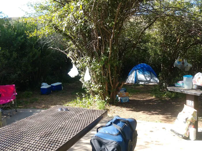 Willows Campground Picture 2