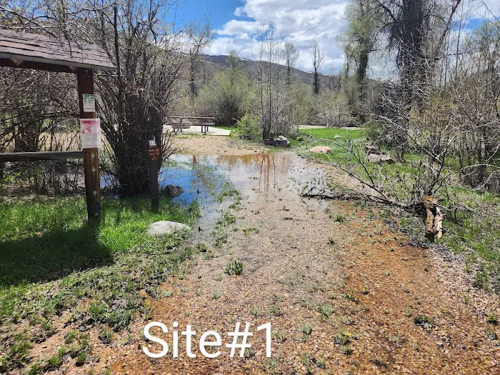 Willows Campground Picture 8