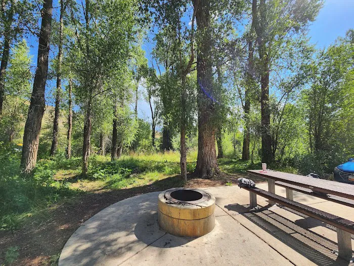 Willows Campground Picture 10