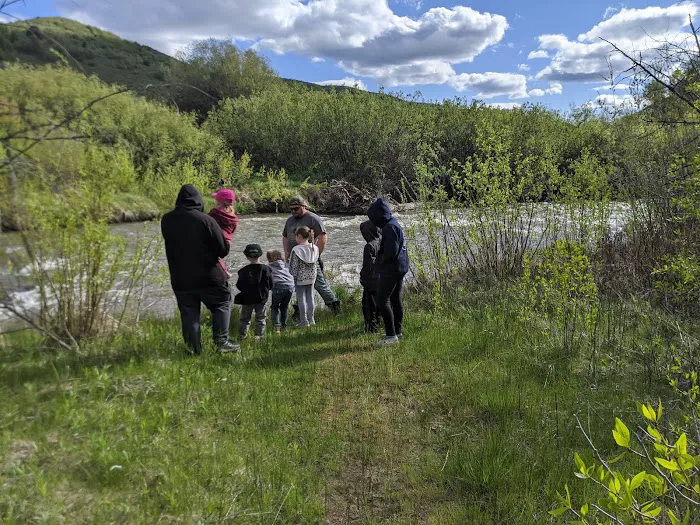 Willows Campground Picture 6