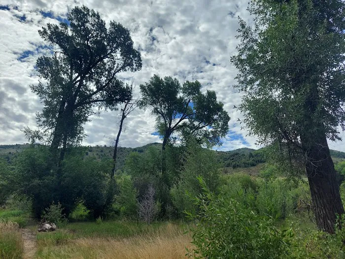 Willows Campground Picture 1