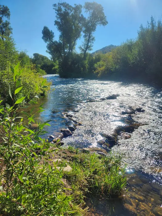 Willows Campground Picture 3