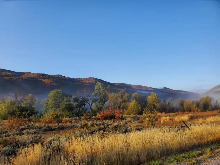 Willows Campground Picture 4