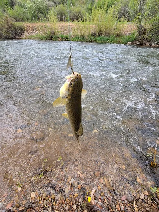 Upper Meadows Campground Picture 7