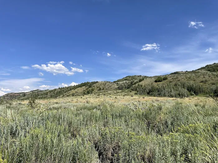 Upper Meadows Campground Picture 1