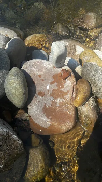 Upper Meadows Campground Picture 2