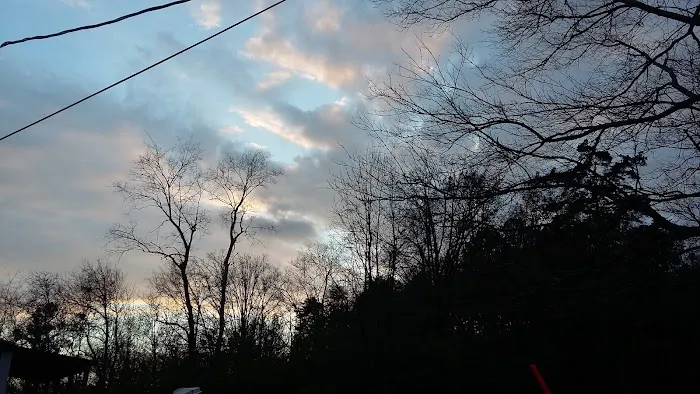 Pine Forest Mobile Home Park Picture 2