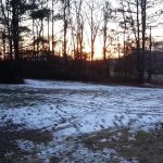 Pine Forest Mobile Home Park