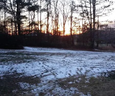 Pine Forest Mobile Home Park