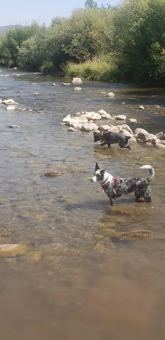 Perception Park Campground Picture 9