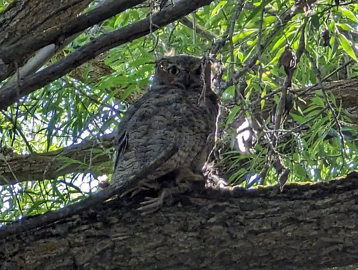 Perception Park Campground Picture 6