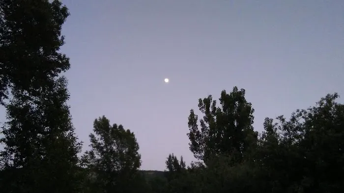 Lower Meadows Campground Picture 2