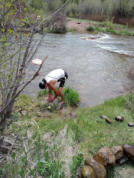 Lower Meadows Campground Picture 10