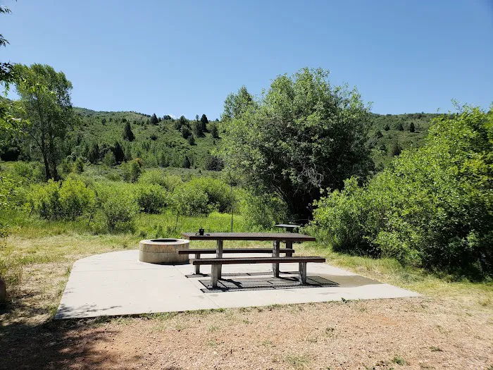 Lower Meadows Campground Picture 3