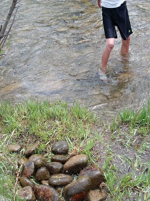 Lower Meadows Campground Picture 9