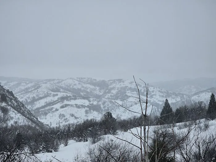 Cobble Creek Camp Picture 2